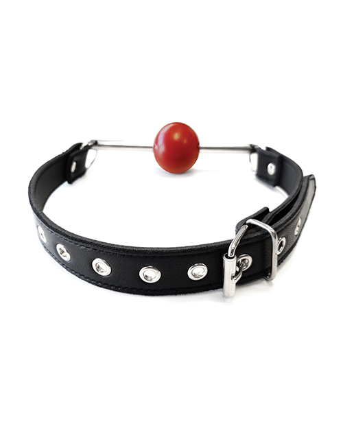 Rouge Leather Ball Gag with Stainless Steel Rod and Removable Ball - Black with Red - Image 2