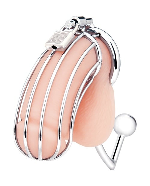 Blue Line Cock Cage w/Anal Stimulator - Silver - Image 2