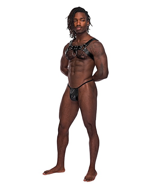 Leather Aries Single Ring Harness Black O/S - Image 2