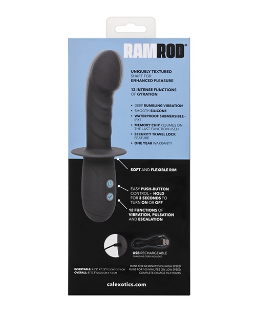 Ramrod Gyrating - Image 5