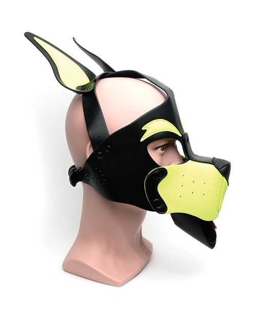 665 Playful Pup Hood - O/S Black/Yellow - Image 2